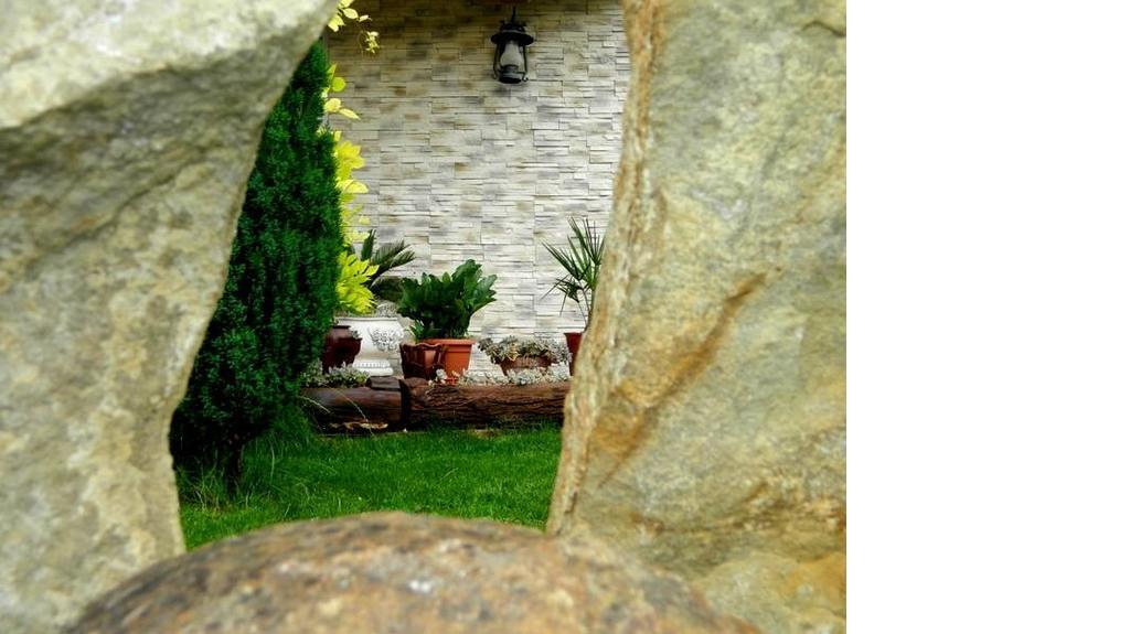Pensiunea Casa Cornelia Махмудия Экстерьер фото